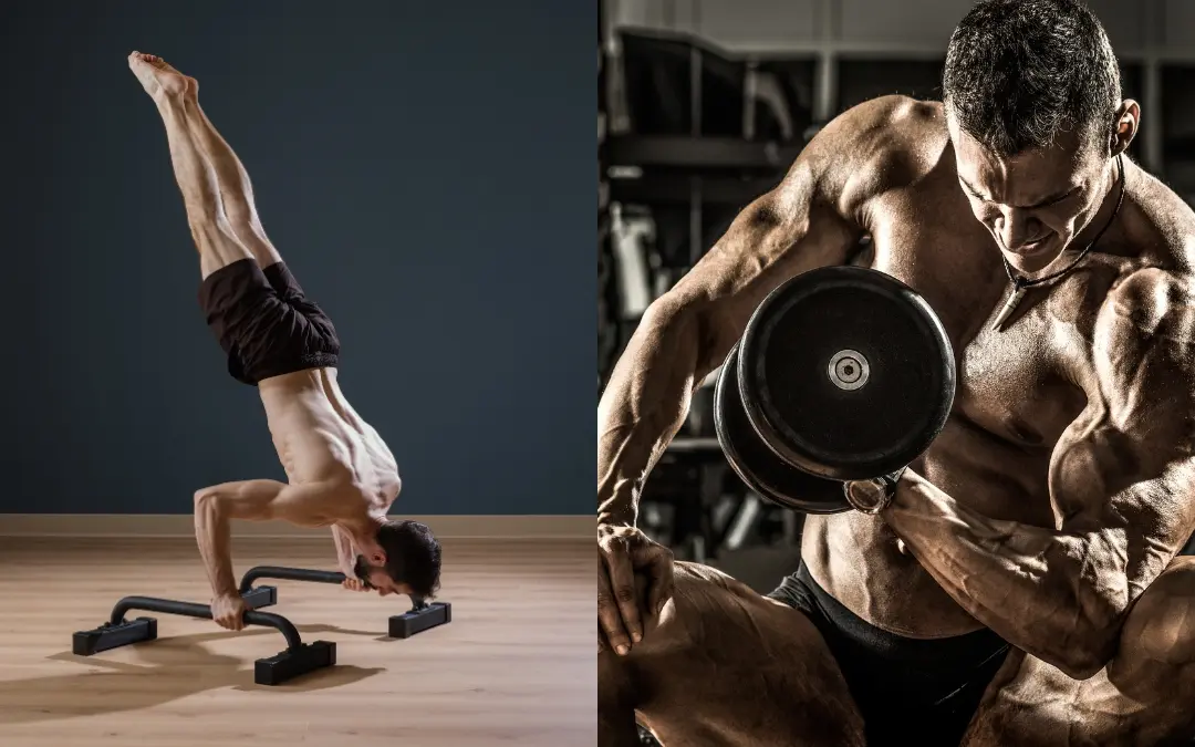 callisthénie ou musculation