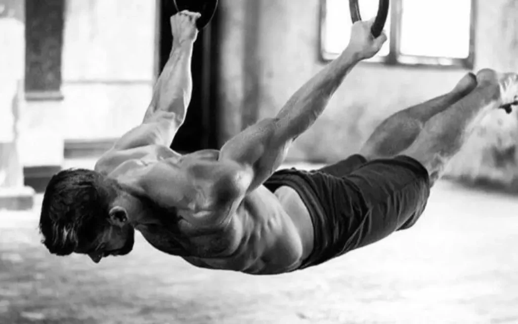 Back Lever Muscles Sollicités