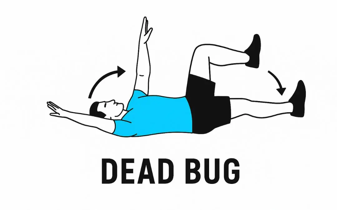 schéma exécution de l'exercice pour les abdominaux dead bug