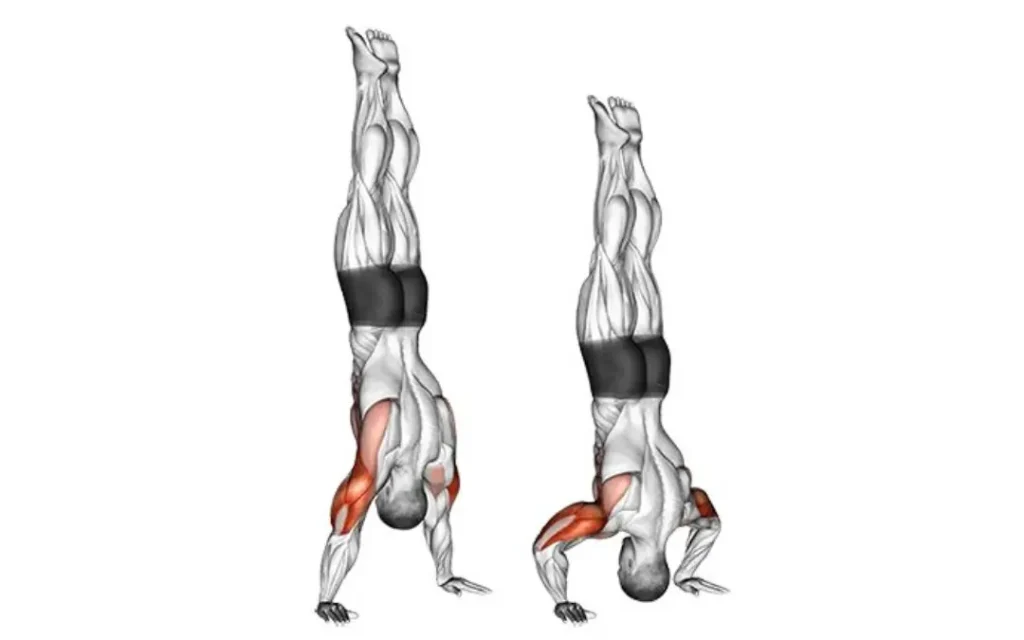 HSPU Handstand Push Up
