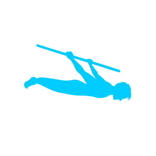 Back lever