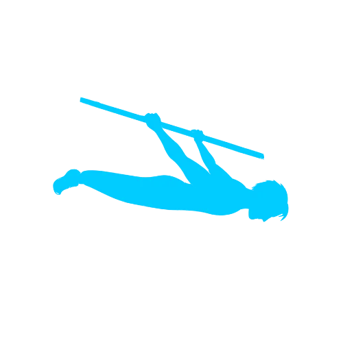 Back lever