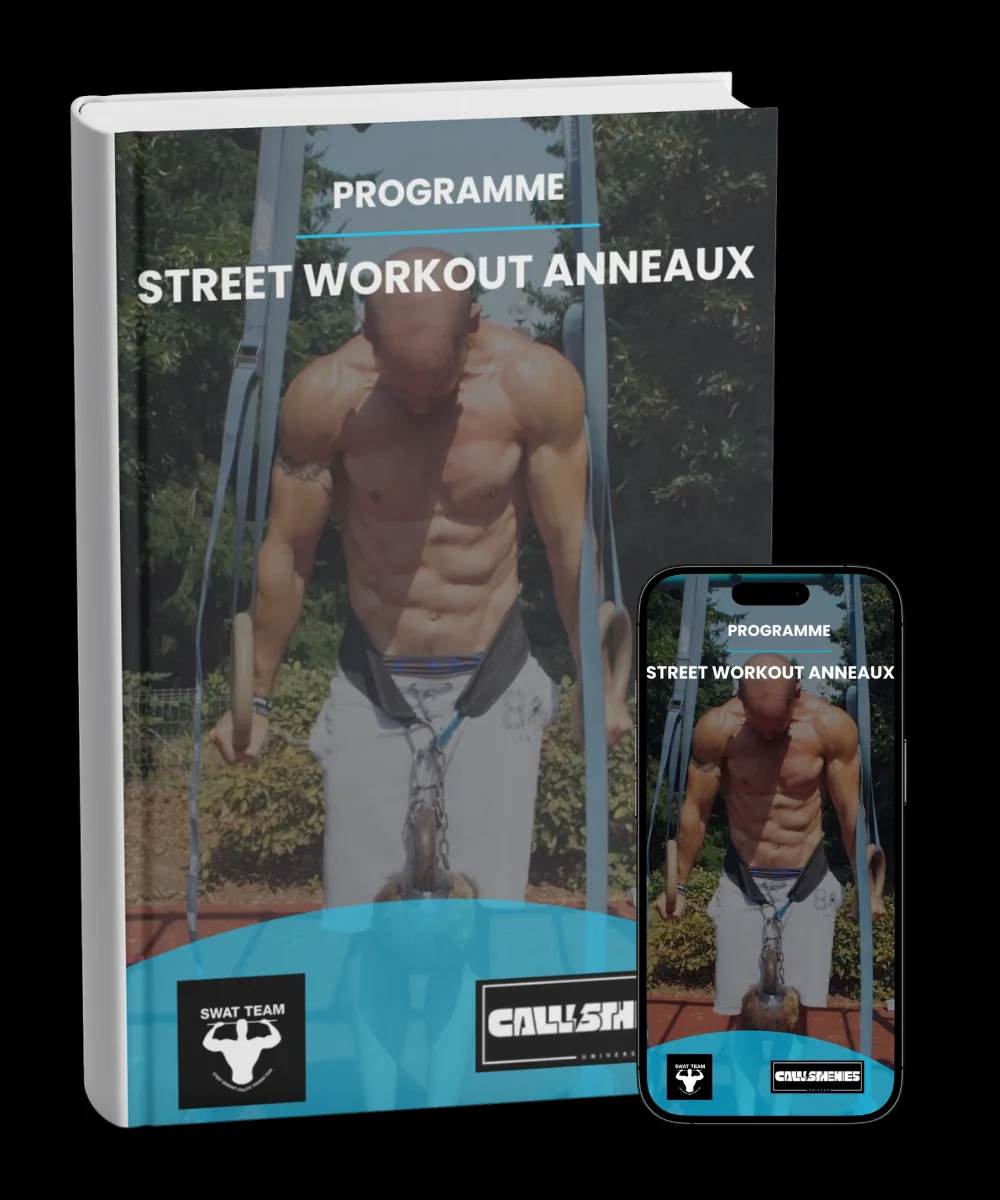 Street Workout Anneaux